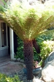 22_carmel_021