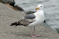 23_san_francisco_065