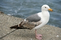 23_san_francisco_067