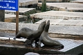 24_sasalito_013
