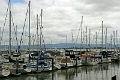 24_sasalito_023