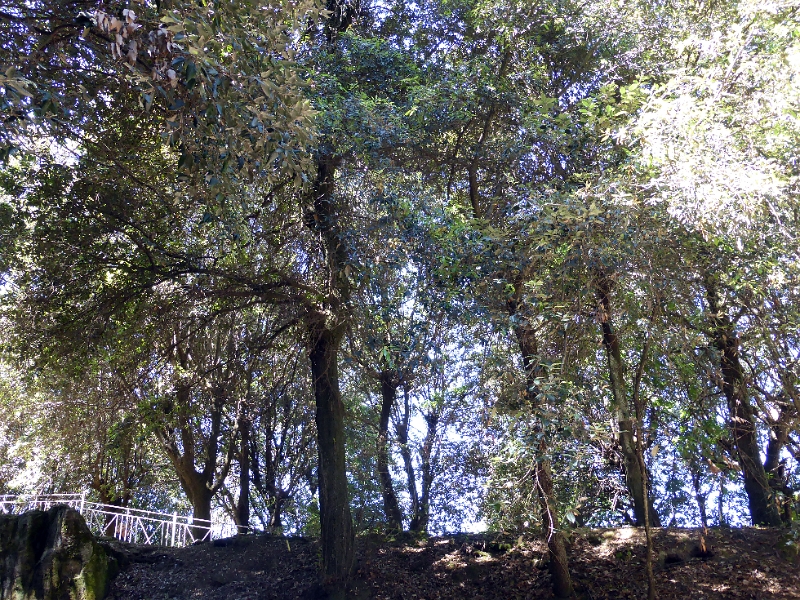 12_puzzuoli_036.jpg