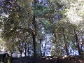 12_puzzuoli_036