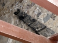 14_ercolano_042