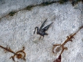 16_naples_torre_annunziata_007