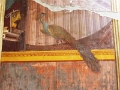 16_naples_torre_annunziata_013
