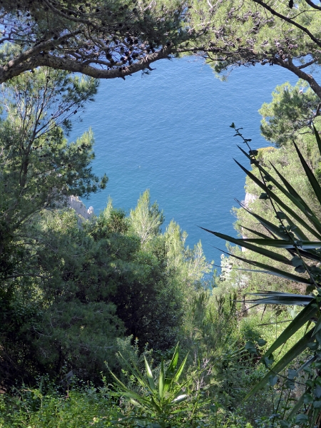 17_capri_023.jpg