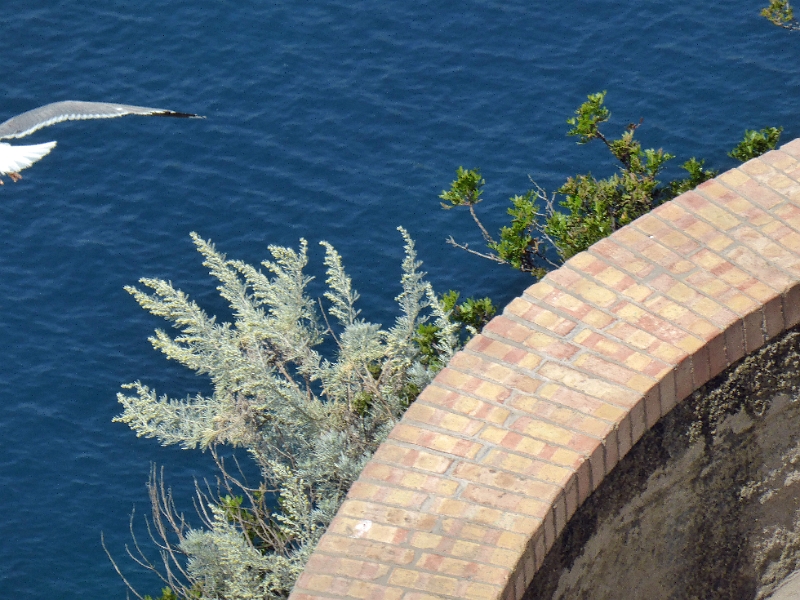 17_capri_031.jpg