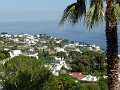 17_capri_006