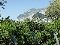 17_capri_016