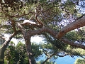17_capri_025
