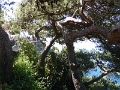17_capri_026