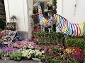 17_capri_032