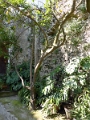 20_ravello_villa_rufolo_028