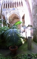 20_ravello_villa_rufolo_031