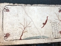 21_salerne_musee_archeologique_027