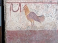 21_salerne_musee_archeologique_029