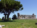 21_salerne_musee_archeologique_041