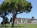 21_salerne_musee_archeologique_042
