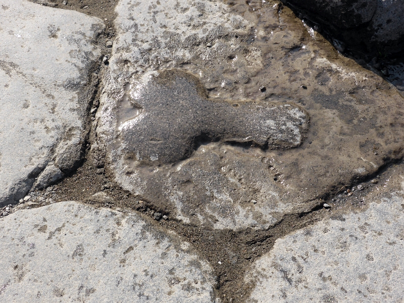 22_pompei_031.jpg - Ancêtre des panneaux indicateurs