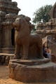 01_rathas_012