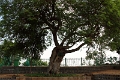 01_rathas_014