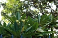 04_pondichery_020