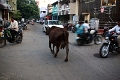 05_pondichery_souk_004