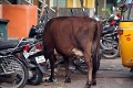 05_pondichery_souk_005