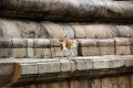08_temple_de_airavatesvara_032