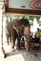 11_temple_de_srirangam_009