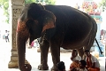 11_temple_de_srirangam_011