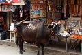 12_temple_de_tiruchirapalli_039