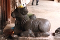 13_temple_de_brihadishivara_047