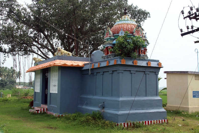 15_village_ecole_006.jpg