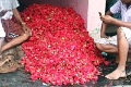 16_marche_aux_fleurs_de_madurai_001