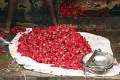 16_marche_aux_fleurs_de_madurai_014