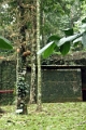 19_spice_village_018