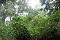 20_periyar_tiger_reserve_002