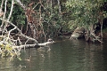 20_periyar_tiger_reserve_007