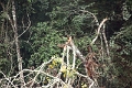 20_periyar_tiger_reserve_009