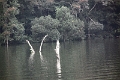 20_periyar_tiger_reserve_020