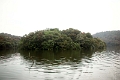 20_periyar_tiger_reserve_024