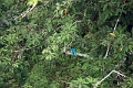20_periyar_tiger_reserve_025