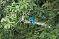20_periyar_tiger_reserve_026