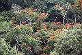 20_periyar_tiger_reserve_032