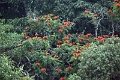 20_periyar_tiger_reserve_033