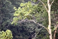 20_periyar_tiger_reserve_043