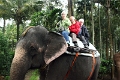 21_promenade_a_dos-elephant_001