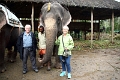 21_promenade_a_dos-elephant_004